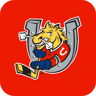 The Barrie Colts