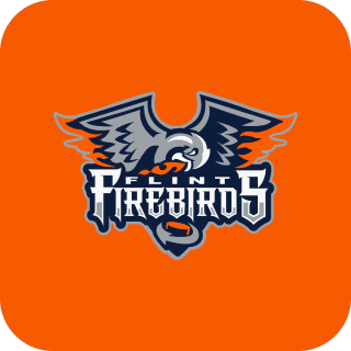 Flint Firebirds