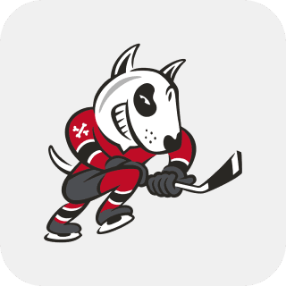 Niagara IceDogs