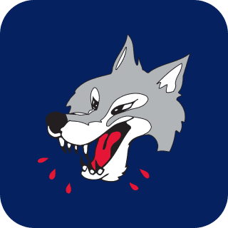 Sudbury Wolves