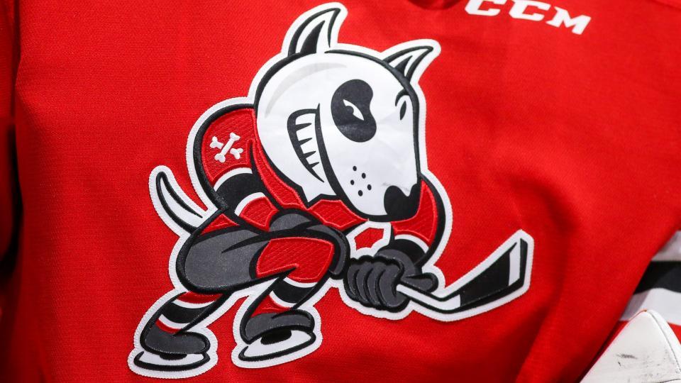 Niagara IceDogs